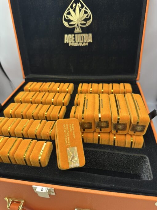 ace ultra premium, ace ultra, ace ultra premium 2g disposable, ace ultra premium disposable, ace premium, ace premium cart, 4g ace dispo, ace ultra premium 2g, ace ultra premium price, ace dispo, ace ultra premium 4g, ace ultra premium gold, ace ultra premium carts, aces disposables, aces carts, ace carts, ace ultra carts, ace ultra premium where to buy, aceultra, ace ultra premium liquid diamonds, ace vape, ace of spades cart, ace disposable, ace 2g, aces disposable, ace disposable vape, ace ultra premium 2g disposable price, where to buy ace ultra premium, ace ultra premium lab results, ace ultra premium mini, ace premium 2g, ace ultra premium vape, ace disposables, aces dispo, ace ultra premium real or fake, ace cart, ace weed, ace premium disposable, ace carts thc, ace of spades disposable, ace dispo 2g, ultra ace premium, ace ultra premium cart, ace ultra premium precio, ace ultra premium cost, ace of spade cart, ace 2g disposable, gold ace 2g, aces cart, ace ultra 4g, ace premium carts, ace ultra premium diamond sauce, ace ultra premium near me, ace ultra premium 2 gram, ace ultra premium review, ace cartridges, 2g ace, ace 2g, ace of spades carts, ace disposal cart, ace vapes, ace of spades ultra premium cartridge, ace karts, tiffany aces dispo, gold ace cart, ace 2g dispo, aces ultra, aces ultra premium, ace ultra premium 2g disposable review, age ultra premium, premium ace, ace 2 gram disposable, ace of spades cartridge, ultra ace, aces vape, ace ultra premium real or fake, ace weed carts, ace 2g disposable, ace thc, ace ultra premium lab test, ace ultra premium 4g, ace cart, ace ultra premium 2g disposable real or fake, ace of spade carts, ace extracts, ace ultra premium 2g disposable real or fake, ace ultra premium real or fake vs real, gold ace 2g, ace dispo 2g, ace ultra premium 2g disposable review, ace ultra, ace ultra premium real or fake, 4g ace dispo, ace ultra premium real or fake vs real, ace ultra premium price, 2g ace, gold ace cart, ace ultra premium 4g, ace of vapes, are ace ultra premium carts real,